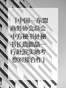 中国—东盟商务协会总会中方秘书处秘书长鹿德晶一行赴滨实地考察对接合作