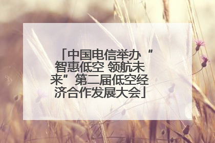 中国电信举办“智惠低空 领航未来”第二届低空经济合作发展大会