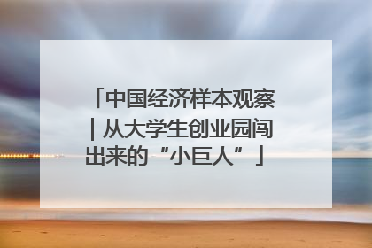 中国经济样本观察｜从大学生创业园闯出来的“小巨人”