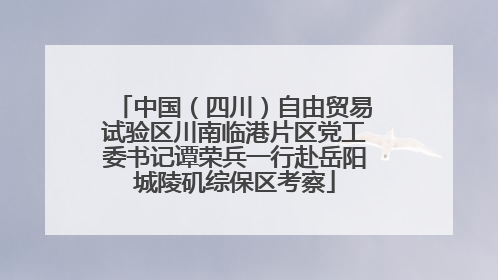 中国（四川）自由贸易试验区川南临港片区党工委书记谭荣兵一行赴岳阳城陵矶综保区考察