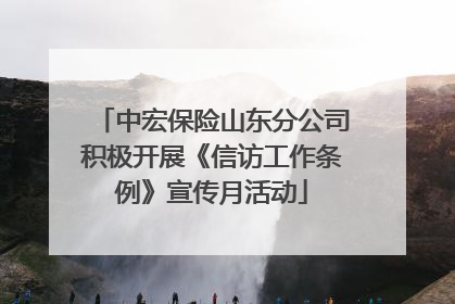 中宏保险山东分公司积极开展《信访工作条例》宣传月活动