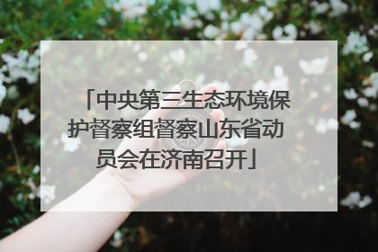 中央第三生态环境保护督察组督察山东省动员会在济南召开