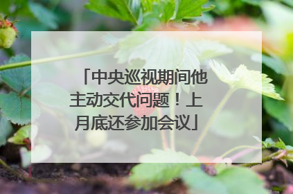 中央巡视期间他主动交代问题！上月底还参加会议