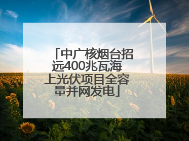 中广核烟台招远400兆瓦海上光伏项目全容量并网发电