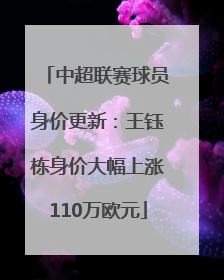 中超联赛球员身价更新：王钰栋身价大幅上涨110万欧元