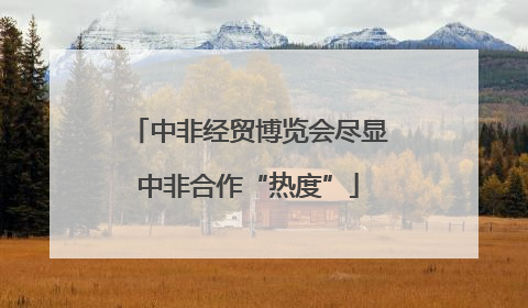 中非经贸博览会尽显中非合作“热度”