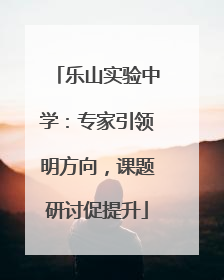 乐山实验中学：专家引领明方向，课题研讨促提升