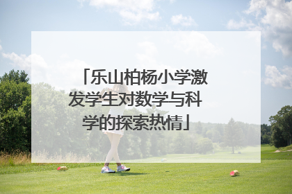 乐山柏杨小学激发学生对数学与科学的探索热情