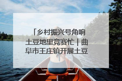 乡村振兴号角响 土豆地里竞赛忙｜曲阜市王庄镇开展土豆收获劳动竞赛