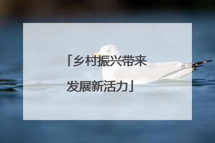 乡村振兴带来发展新活力