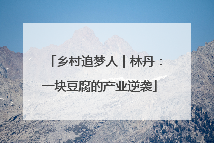 乡村追梦人｜林丹：一块豆腐的产业逆袭