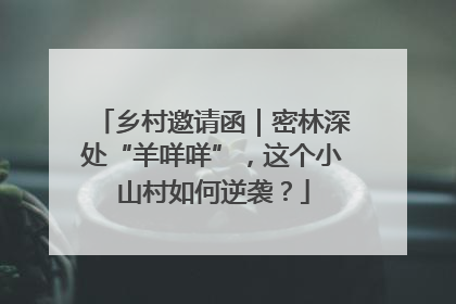 乡村邀请函｜密林深处“羊咩咩”，这个小山村如何逆袭？