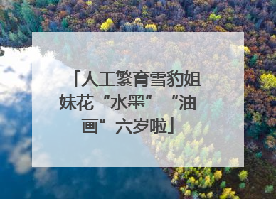 人工繁育雪豹姐妹花“水墨”“油画”六岁啦