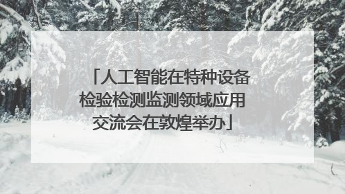 人工智能在特种设备检验检测监测领域应用交流会在敦煌举办