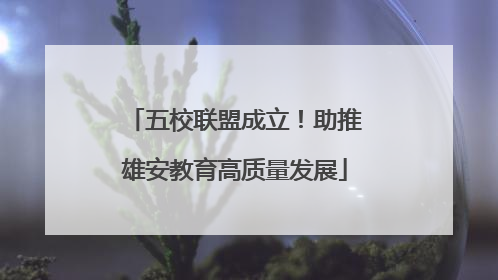 五校联盟成立！助推雄安教育高质量发展