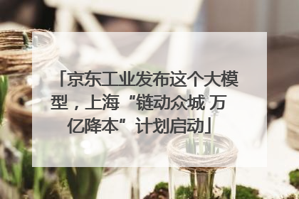 京东工业发布这个大模型，上海“链动众城 万亿降本”计划启动