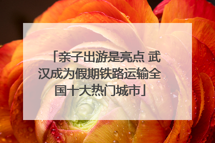 亲子出游是亮点 武汉成为假期铁路运输全国十大热门城市