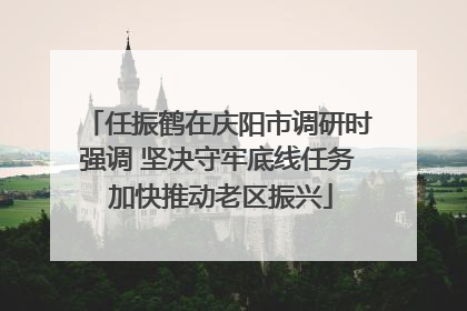 任振鹤在庆阳市调研时强调 坚决守牢底线任务 加快推动老区振兴