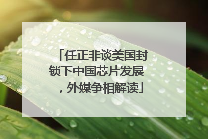 任正非谈美国封锁下中国芯片发展，外媒争相解读