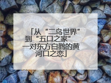 从“二鸟世界”到“五口之家” 一对东方白鹳的黄河口之恋