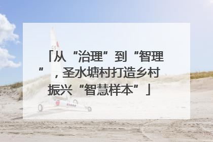 从“治理”到“智理”，圣水塘村打造乡村振兴“智慧样本”