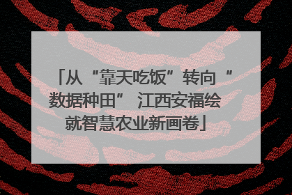 从“靠天吃饭”转向“数据种田” 江西安福绘就智慧农业新画卷