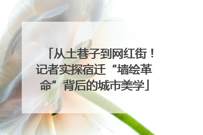 从土巷子到网红街！记者实探宿迁“墙绘革命”背后的城市美学