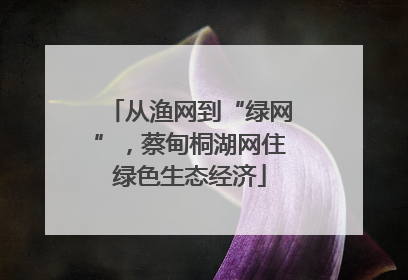 从渔网到“绿网”，蔡甸桐湖网住绿色生态经济
