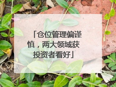 仓位管理偏谨慎，两大领域获投资者看好