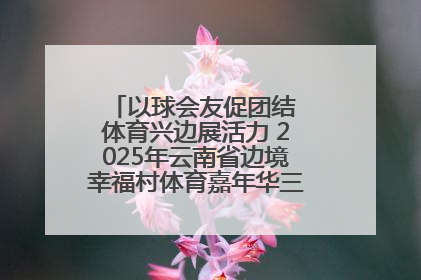 以球会友促团结 体育兴边展活力 2025年云南省边境幸福村体育嘉年华三人篮球赛圆满收官