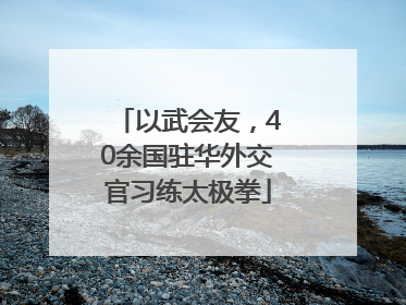 以武会友，40余国驻华外交官习练太极拳