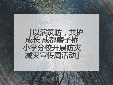 以演筑防，共护成长 成都磨子桥小学分校开展防灾减灾宣传周活动