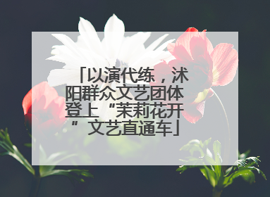 以演代练，沭阳群众文艺团体登上“茉莉花开”文艺直通车