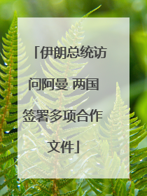 伊朗总统访问阿曼 两国签署多项合作文件