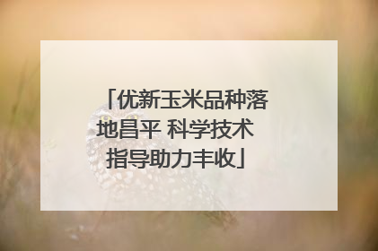 优新玉米品种落地昌平 科学技术指导助力丰收