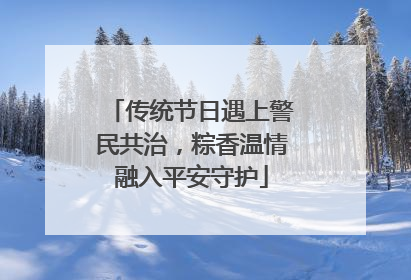 传统节日遇上警民共治，粽香温情融入平安守护