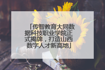 传智教育大同数据科技职业学院正式揭牌，打造山西数字人才新高地
