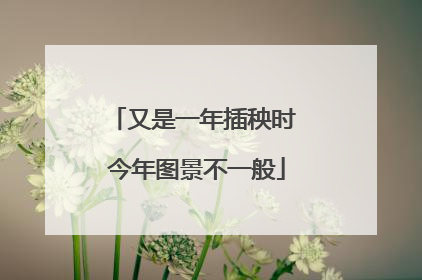 又是一年插秧时 今年图景不一般