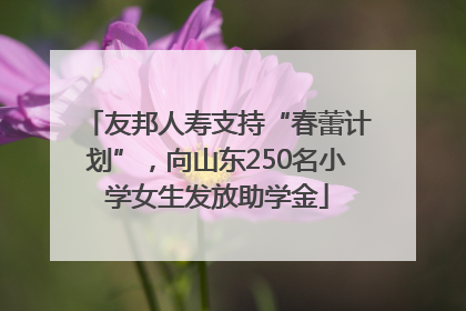 友邦人寿支持“春蕾计划”，向山东250名小学女生发放助学金