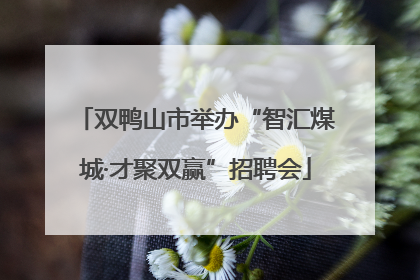 双鸭山市举办“智汇煤城·才聚双赢”招聘会