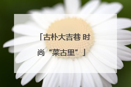 古朴大吉巷 时尚“菜古里”