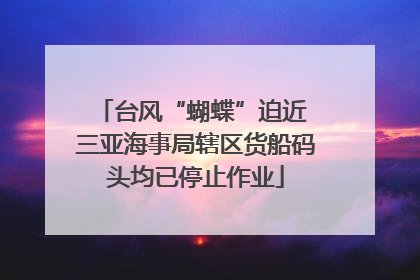 台风“蝴蝶”迫近 三亚海事局辖区货船码头均已停止作业