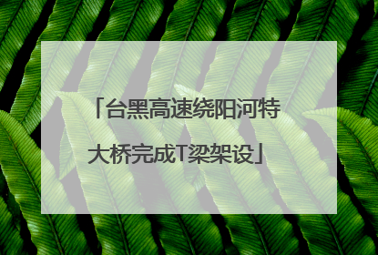 台黑高速绕阳河特大桥完成T梁架设