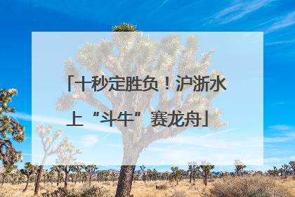 十秒定胜负！沪浙水上“斗牛”赛龙舟