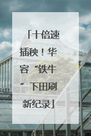 十倍速插秧！华容“铁牛”下田刷新纪录