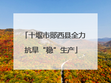 十堰市郧西县全力抗旱“稳”生产