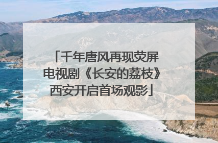 千年唐风再现荧屏 电视剧《长安的荔枝》西安开启首场观影