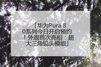 华为Pura 80系列今日开启预约！外观首次亮相：超大三角镜头模组