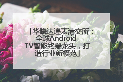 华曦达递表港交所：全球Android TV智能终端龙头，打造行业新模范