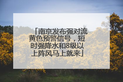 南京发布强对流黄色预警信号，短时强降水和8级以上阵风马上就来